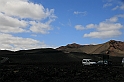 Kanary_2010 075